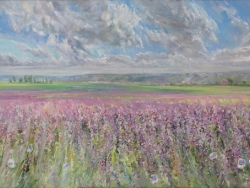 Lavender Field, 2020